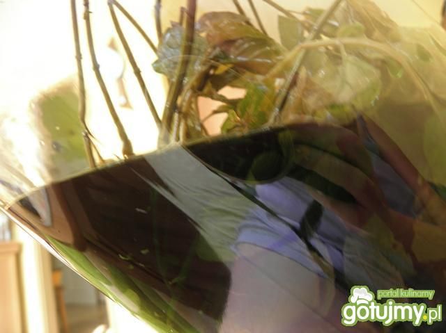 Orzeźwiająca nalewka miętowa