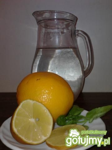 Orzeźwiająca woda z cytrusami i bazylią