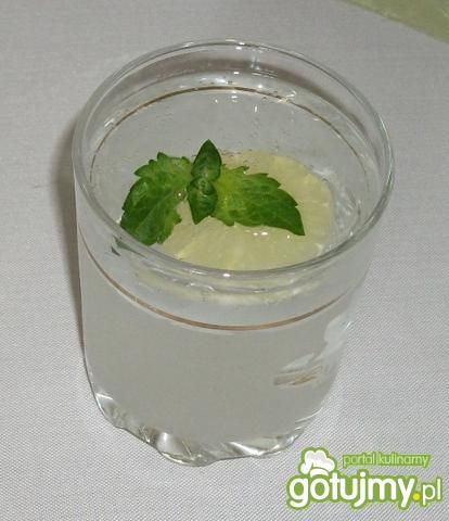 Orzeźwiajacy drink z ginu