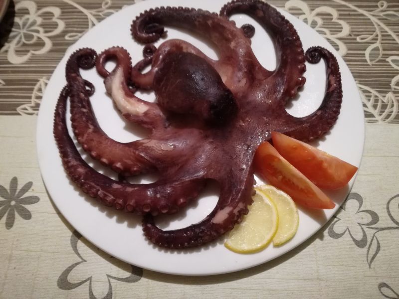 Ośmiornica gotowana
