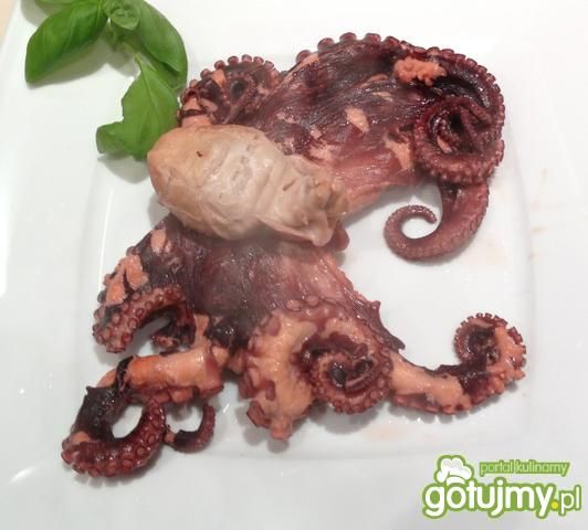 Ośmiornica tradycyjnie. Ośmiornica tradycyjnie.