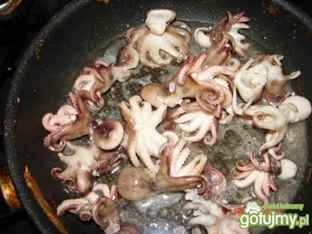 Ośmiornice Ośmiornice