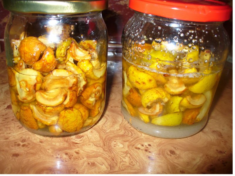 Owoce pigwowca w syropie Owoce pigwowca w syropie