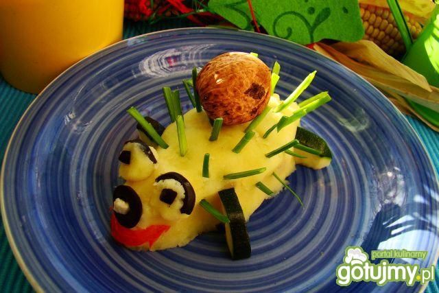 Pan jeżyk dla niejadków  Pan jeżyk dla niejadków