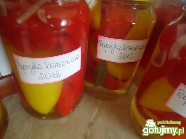 Papryka konserwowa kolorowa