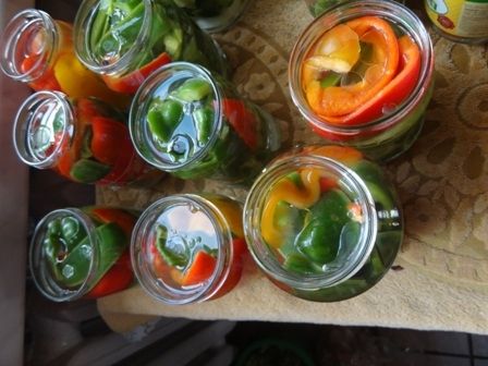 Papryka konserwowa wg mamy