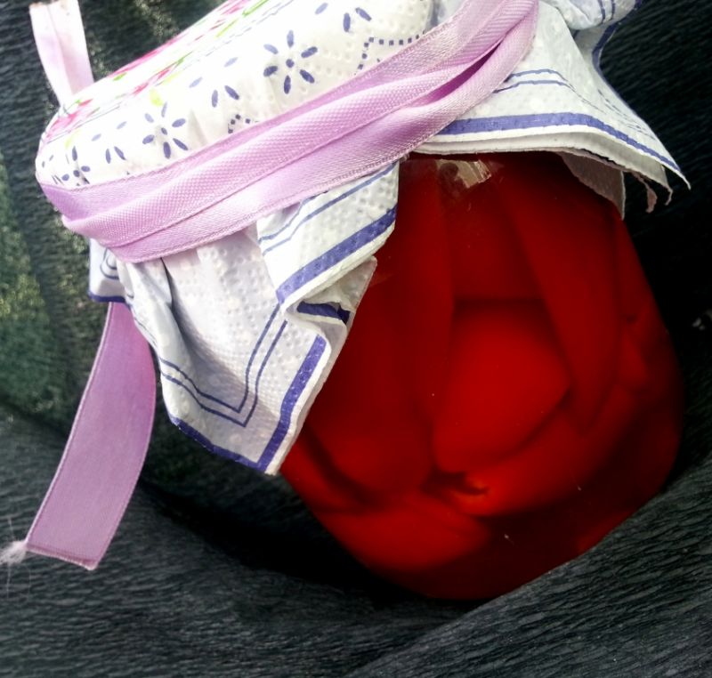 Papryka marynowana z miodem