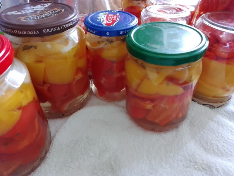 Papryka na zimę kolorowy mix Papryka na zimę kolorowy mix