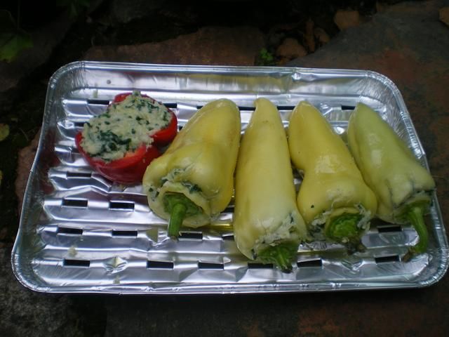 Papryka nadziewana bryndzą