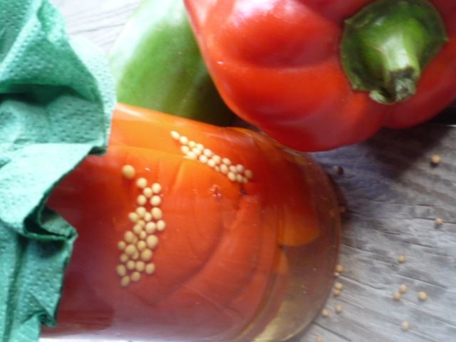 Papryka pasteryzowana