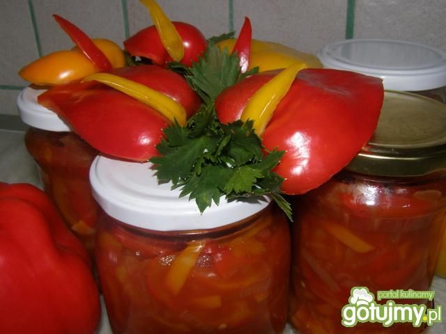 Papryka w keczupie  dekoracyjne anturium Papryka w keczupie  dekoracyjne anturium