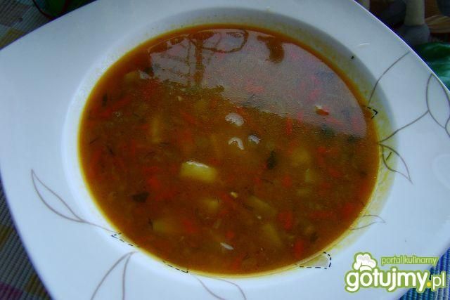 Paprykowy krupniczek  Paprykowy krupniczek