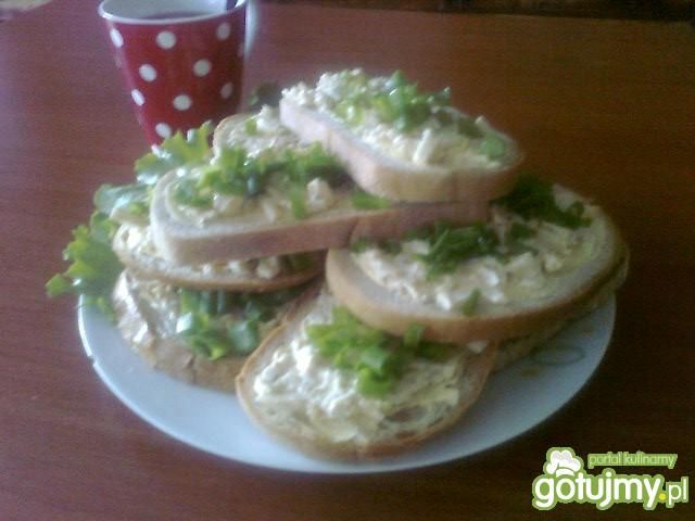 Pasta kanapkowa z selera Pasta kanapkowa z selera