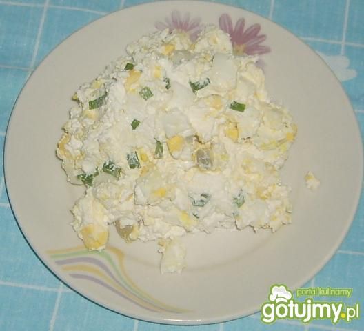 Pasta serowa. Pasta serowa.