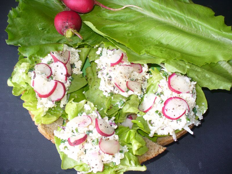Pasta serowa z rzodkiewką i szczypiorkiem