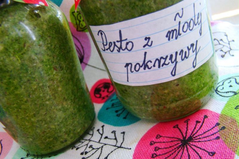 Pasto z młodej pokrzywy