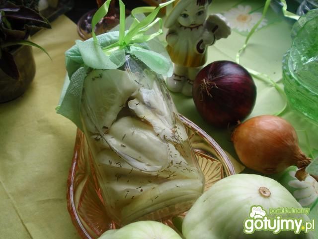 Patison marynowany Gosi