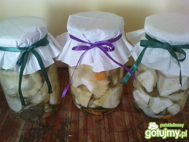 Patisony konserwowe  Patisony konserwowe