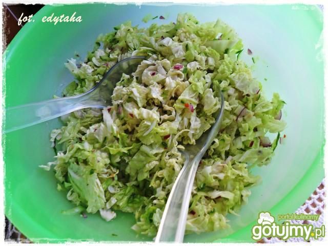 Pekinka z ogórkiem w greckim sosie Pekinka z ogórkiem w greckim sosie