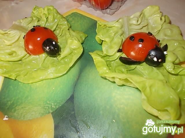 Pełzające biedronki Pełzające biedronki