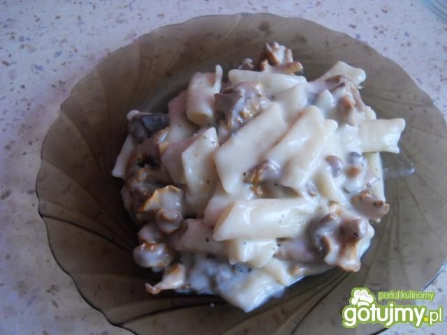Penne z kurkami w sosie Penne z kurkami w sosie
