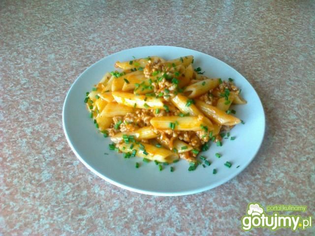 Penne z mięsem w sosie pomidorowym Penne z mięsem w sosie pomidorowym