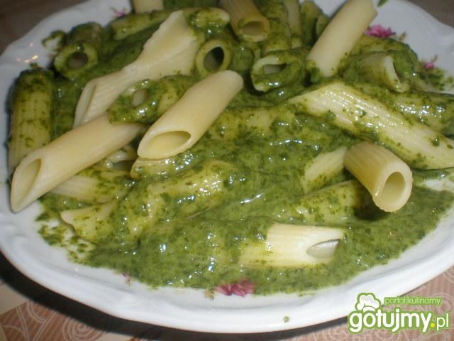 Penne z sosem szpinakowym Penne z sosem szpinakowym