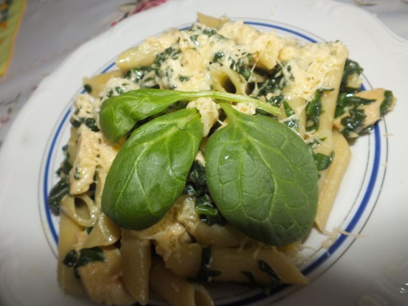 Penne ze szpinakiem i kurczakiem Penne ze szpinakiem i kurczakiem
