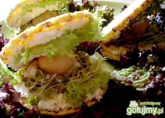 Perłopławy śniadaniowe  Perłopławy śniadaniowe