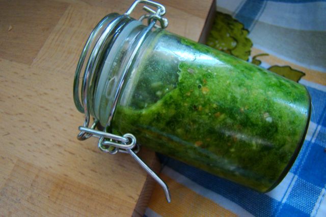 Pesto z czosnku niedźwiedziego  Pesto z czosnku niedźwiedziego