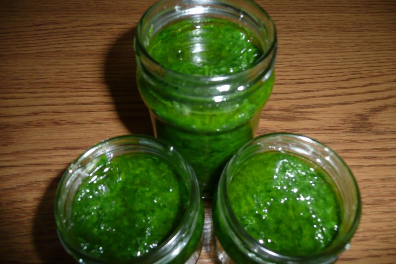 Pesto z czosnku niedźwiedziego Pesto z czosnku niedźwiedziego