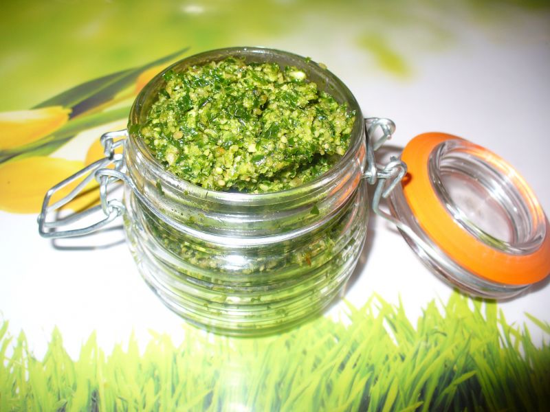 Pesto z czosnku niedźwiedziego Pesto z czosnku niedźwiedziego