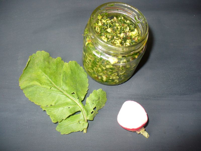 Pesto z liści rzodkiewek