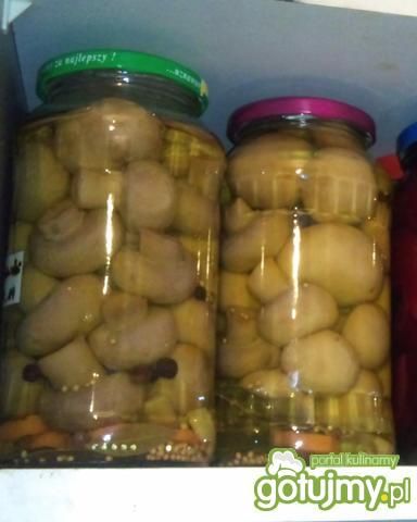 pieczarki marynowane pieczarki marynowane