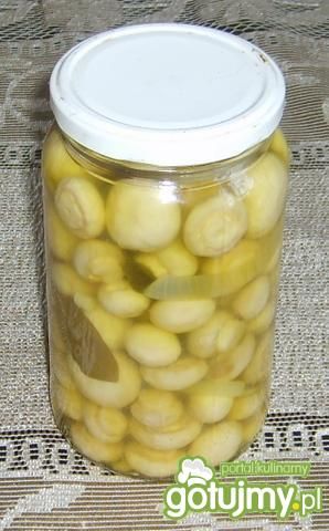 Pieczarki w sosie własnym
