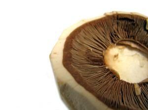 Pieczarki z grilla Pieczarki z grilla