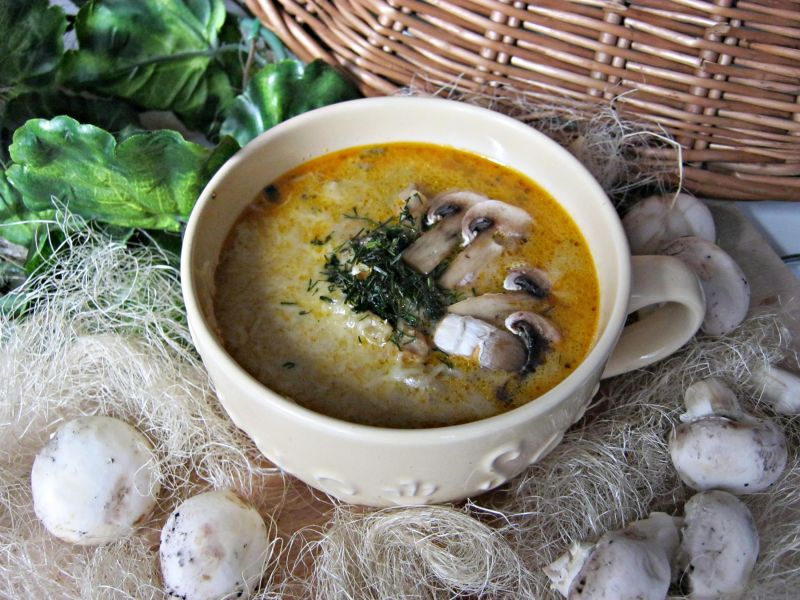 Pieczarkowa z kurczakiem i serem