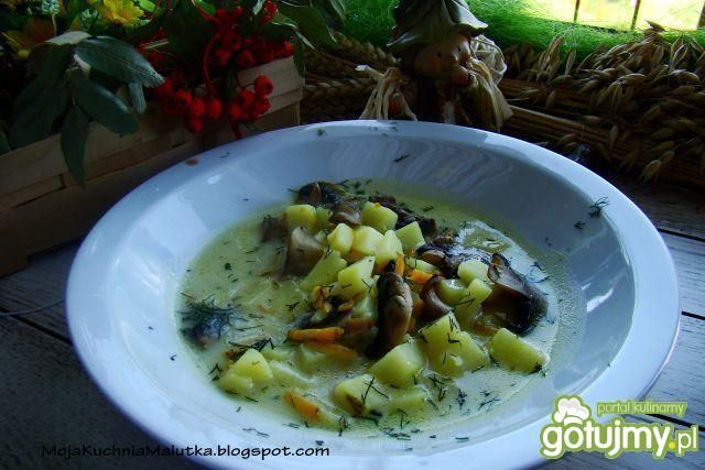 Pieczarkowa z ziemniakami i ryżem 