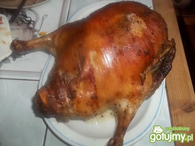 Pieczona kaczka z kaszą i kurkami
