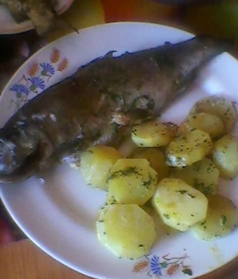 Pieczony pstrąg