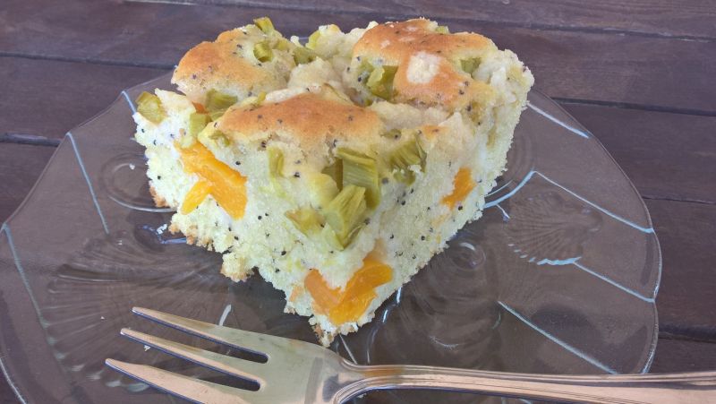 Piegowate ciasto z rabarbarem i brzoskwiniami