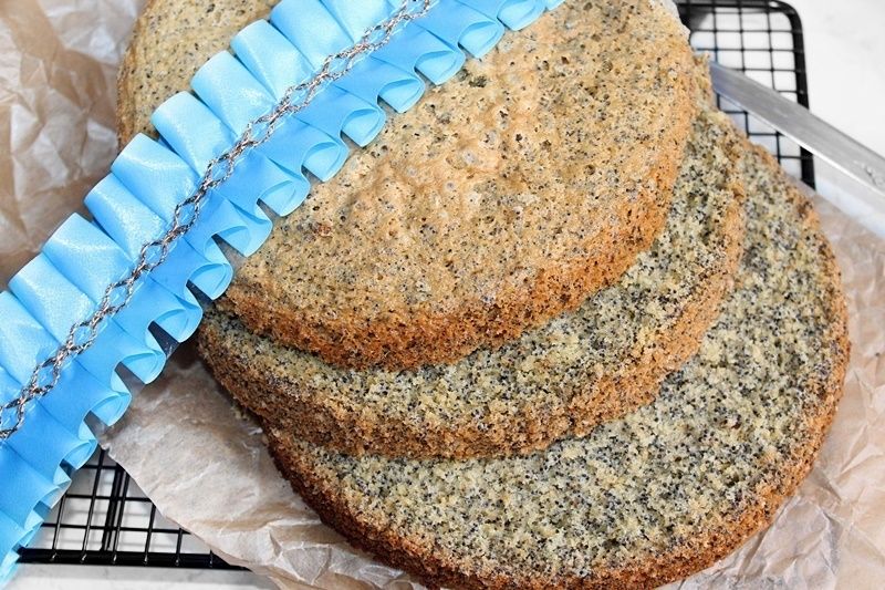 Piegusek, czyli biszkopt z makiem na oleju