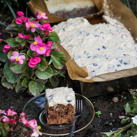 Piernik z żurawiną i orzechami Piernik z żurawiną i orzechami