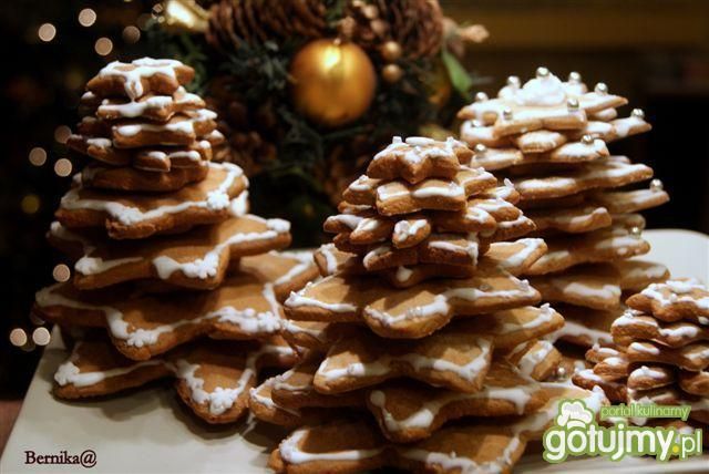 Piernikowe choinki i pierniki 
