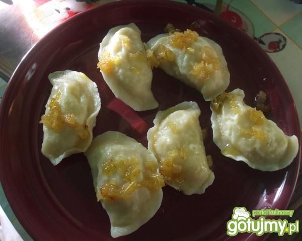 Pierogi
