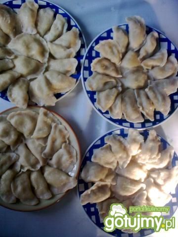 Pierogi ruskie Pierogi ruskie