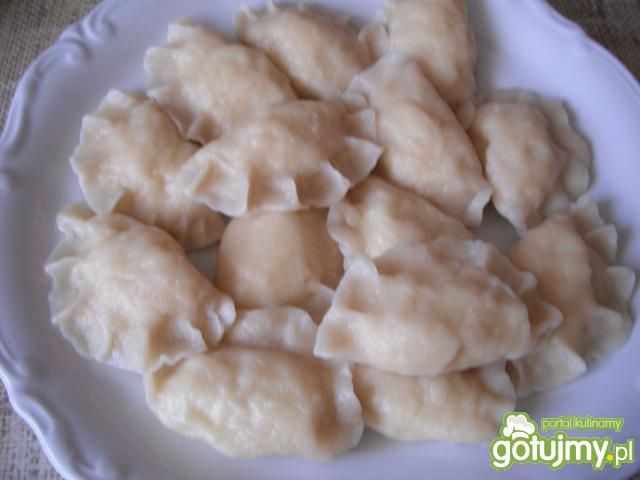 Pierogi ruskie wg maagda23  Pierogi ruskie wg maagda23