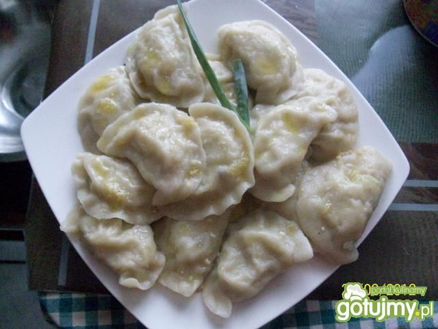 pierogi serowo-kapuściane pierogi serowo-kapuściane