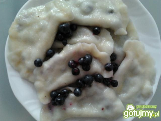 Pierogi z borówkami. Pierogi z borówkami.