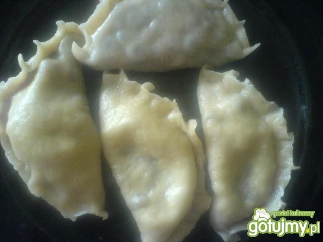 Pierogi z borówkami czerwonymi Pierogi z borówkami czerwonymi